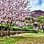 Healience Village