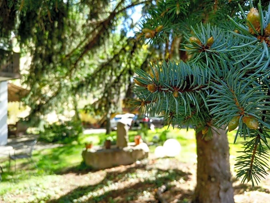 Hotel Pension Schweitzer