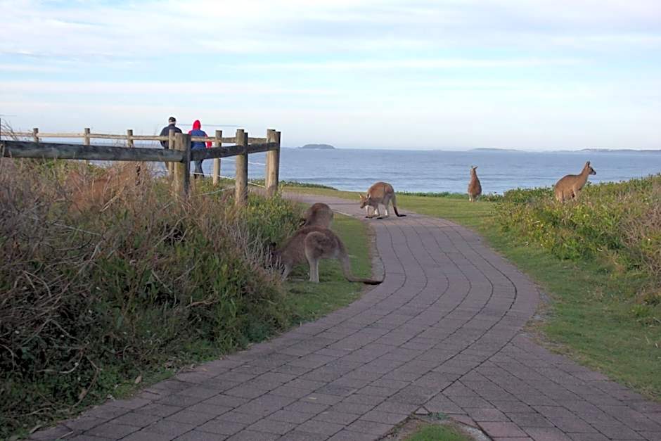 Emerald Tropical Palms B & B