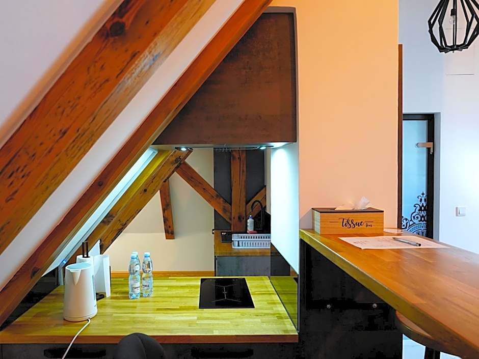 Paderewskiego 9 Aparth