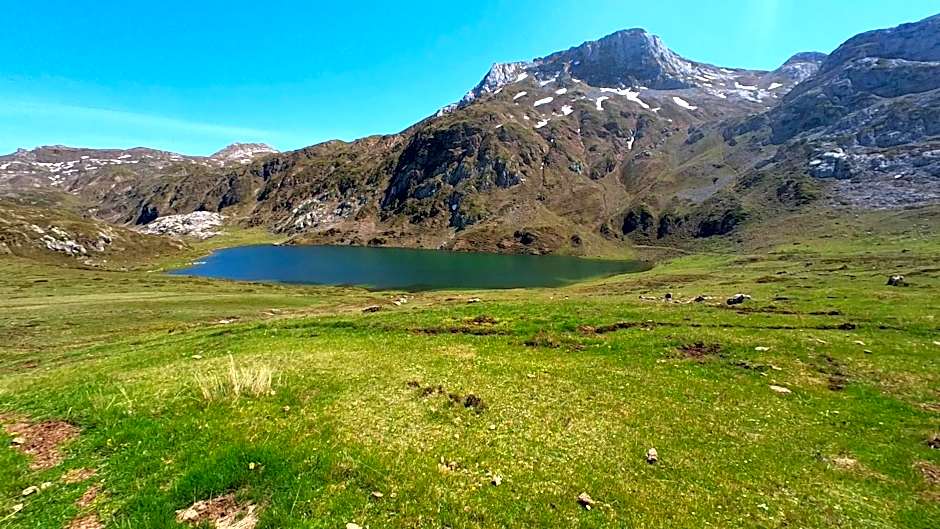 El Gato Gordo - bike & surf house