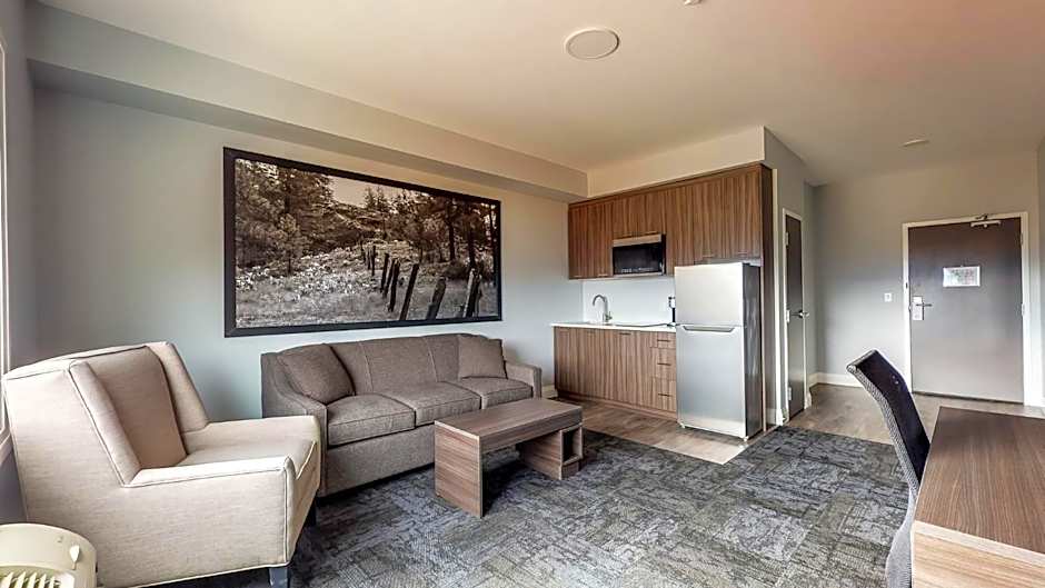 Photo 1 of 2 of Sofabed