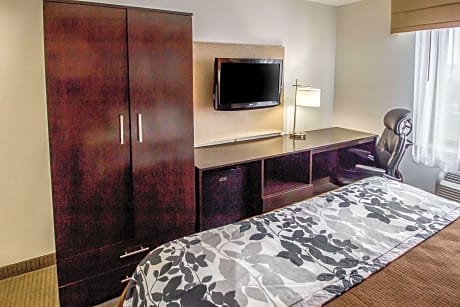 1 King Bed, Nonsmoking