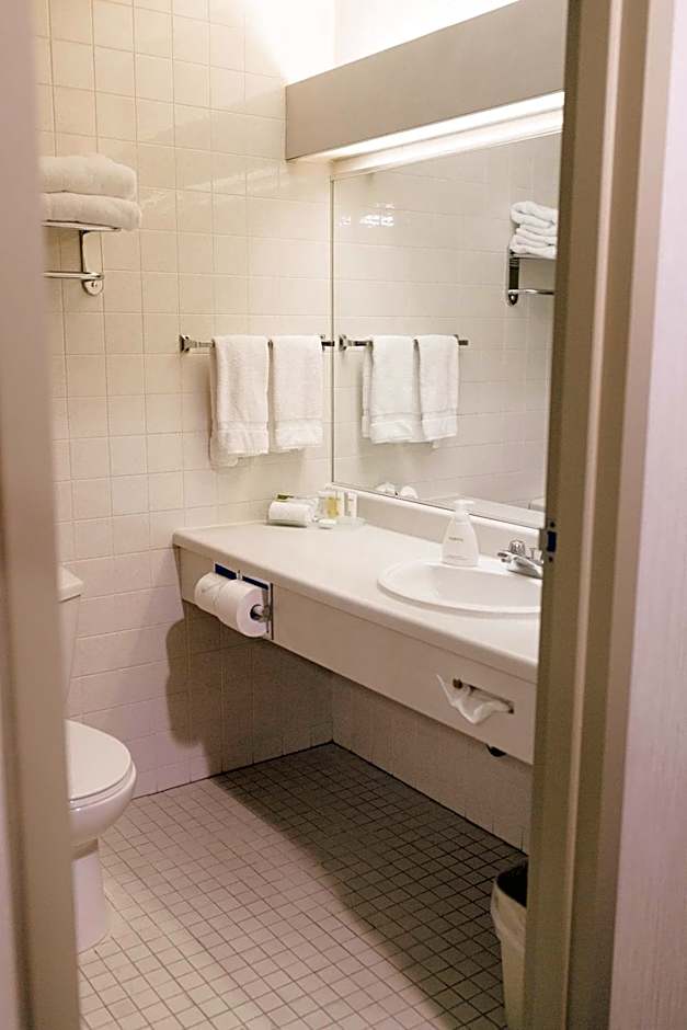 Victoria Inn Flin Flon