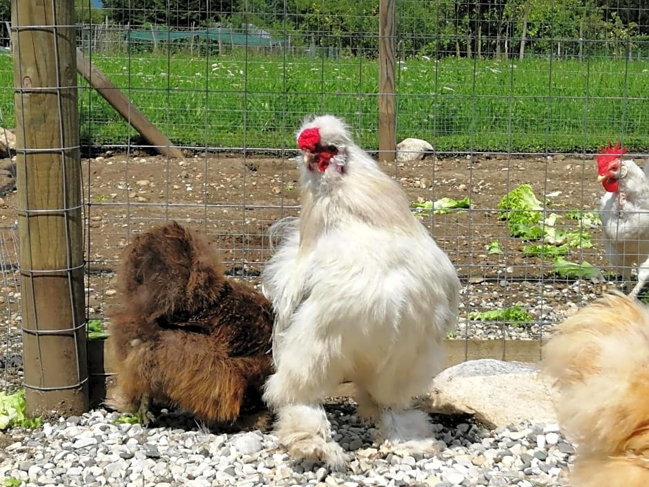 B&B La casa di Loretta