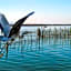 Albufera Dreams Nature Suites