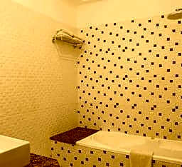 Regenta Central Mewargarh Udaipur