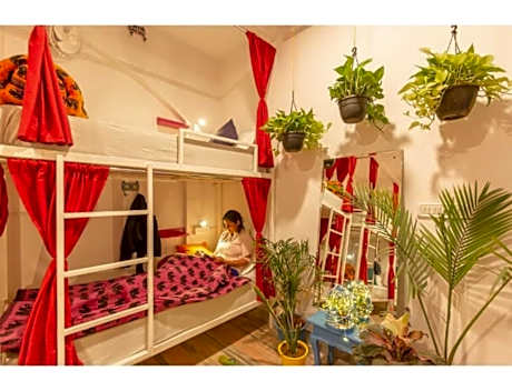 Bed in 6 Bed Mixed Dormitory Room with Ensuite Bathroom