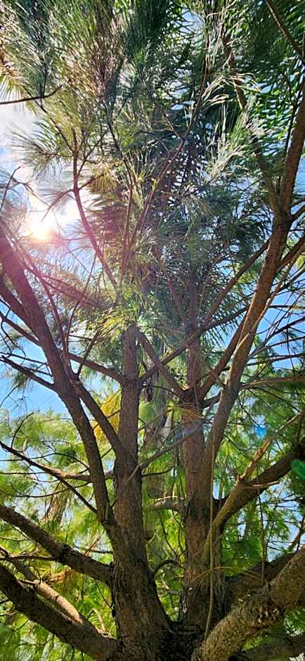 Hacienda Santa Ireme