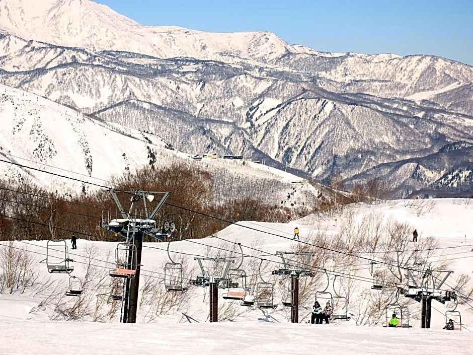 Hakuba Tsugaike Sunrise Tanne