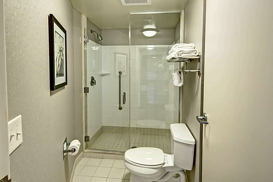 SpringHill Suites by Marriott New Bern