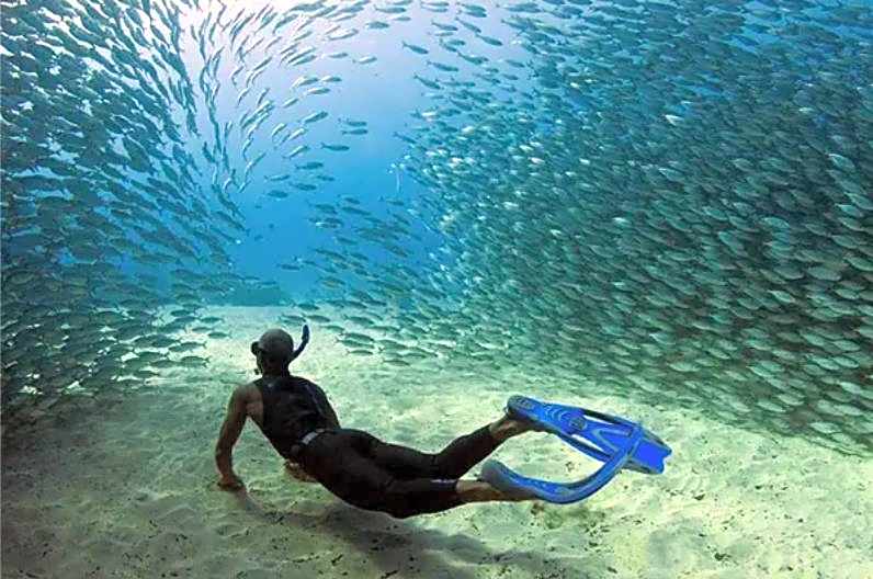 Pawikan Boutique Hotel