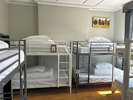 Bed in 12-Bed Mixed Dormitory