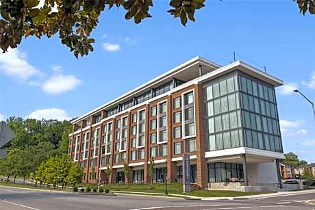 The Highlander at Radford, Tapestry Collection by Hilton