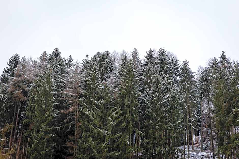 Hotel Tiefenhagen Sauerland