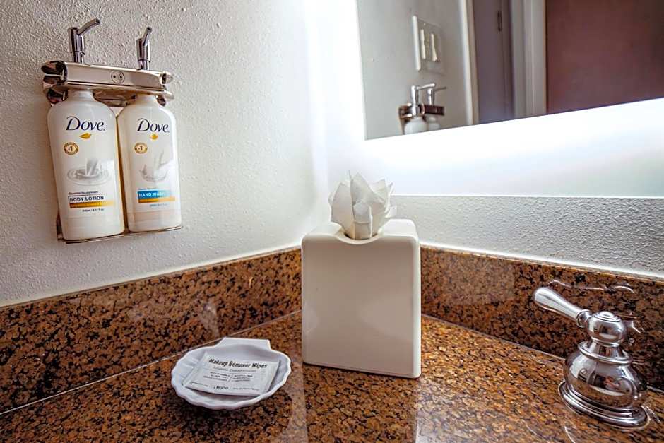 Holiday Inn Irving Las Colinas by IHG
