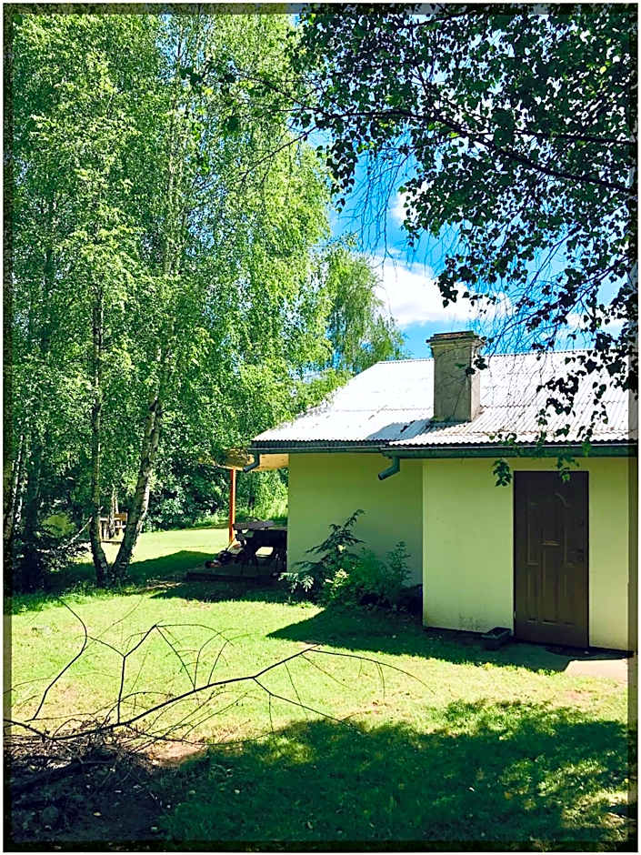 Borowe Chatki nad Lubiszewem