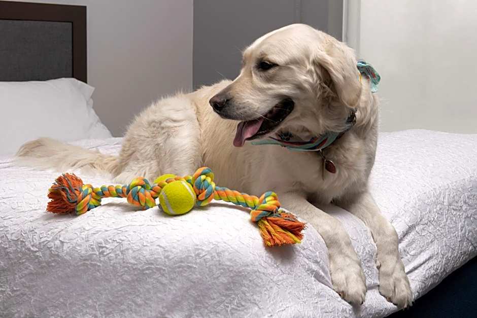 Hampton Inn By Hilton & Suites Rapid City Rushmore, SD