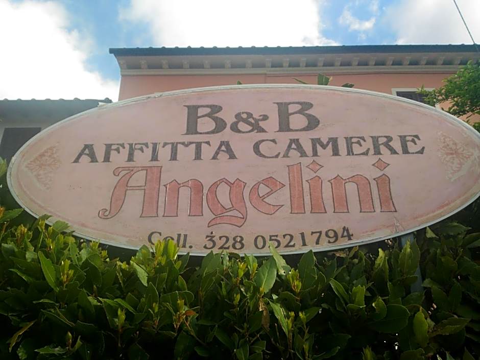 Angelini dal 1911