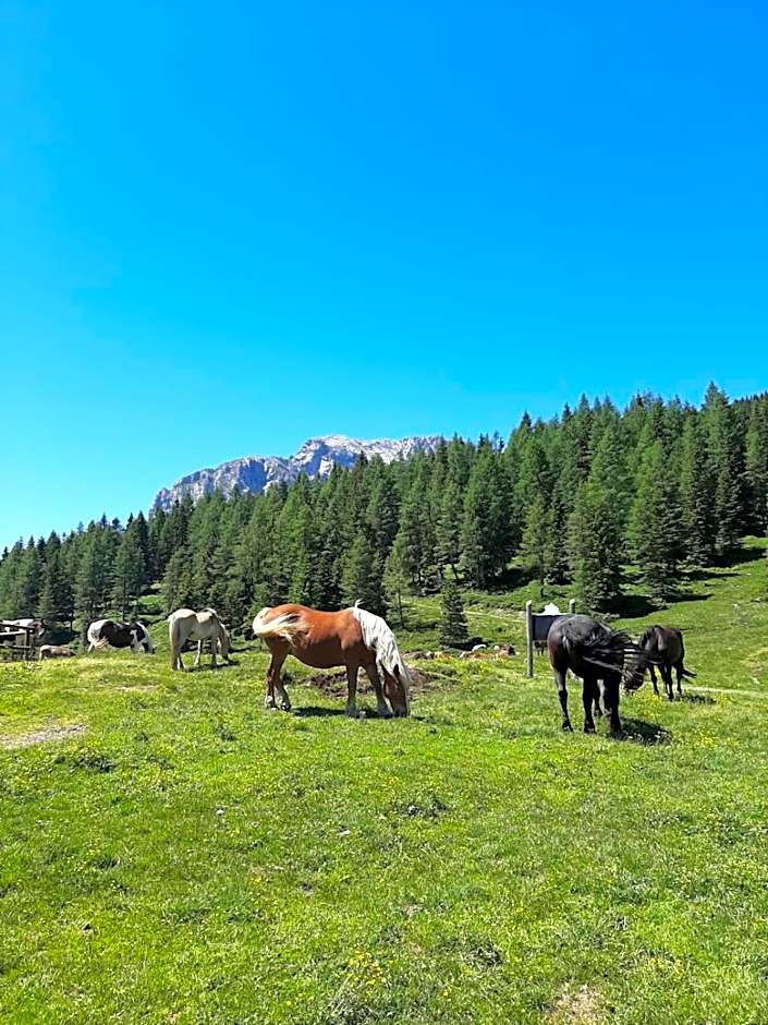 Hotel Berghof