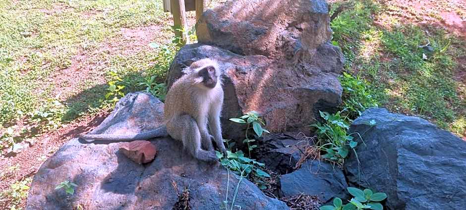 Emufuleni river logde