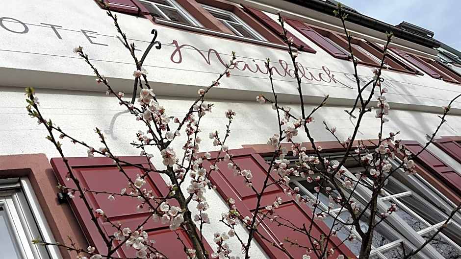 Hotel Mainblick Garni