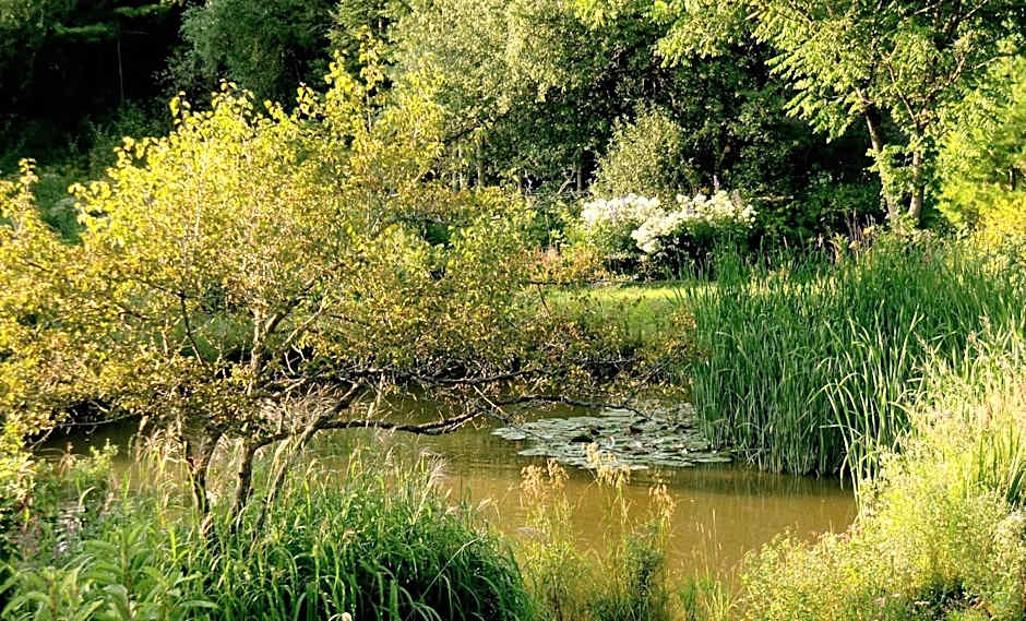 Auberge Restaurant La Mara