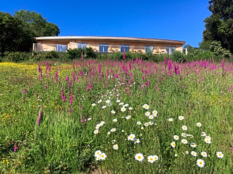 The Sanctuary Cornwall