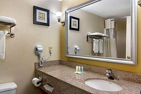 1 King Bed, Suite, Nonsmoking