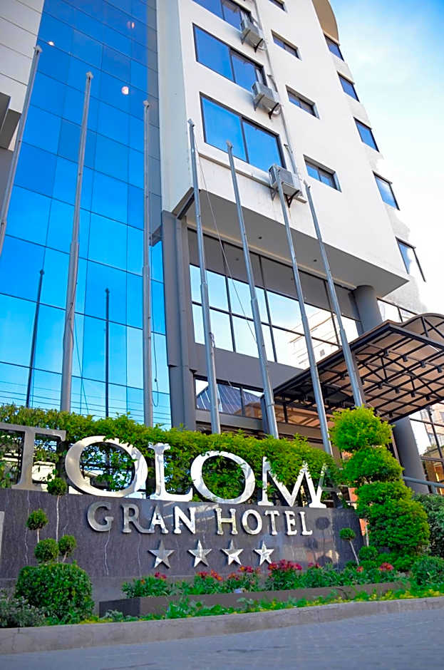 Gran Hotel Toloma