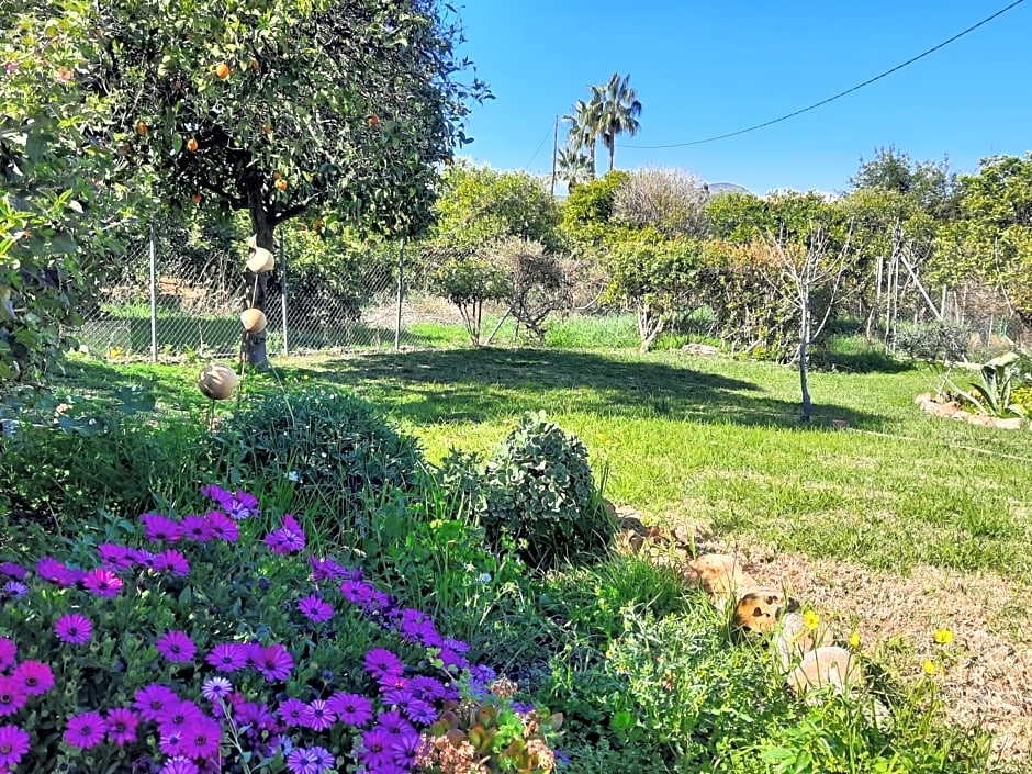 Finca Sueño de Vida