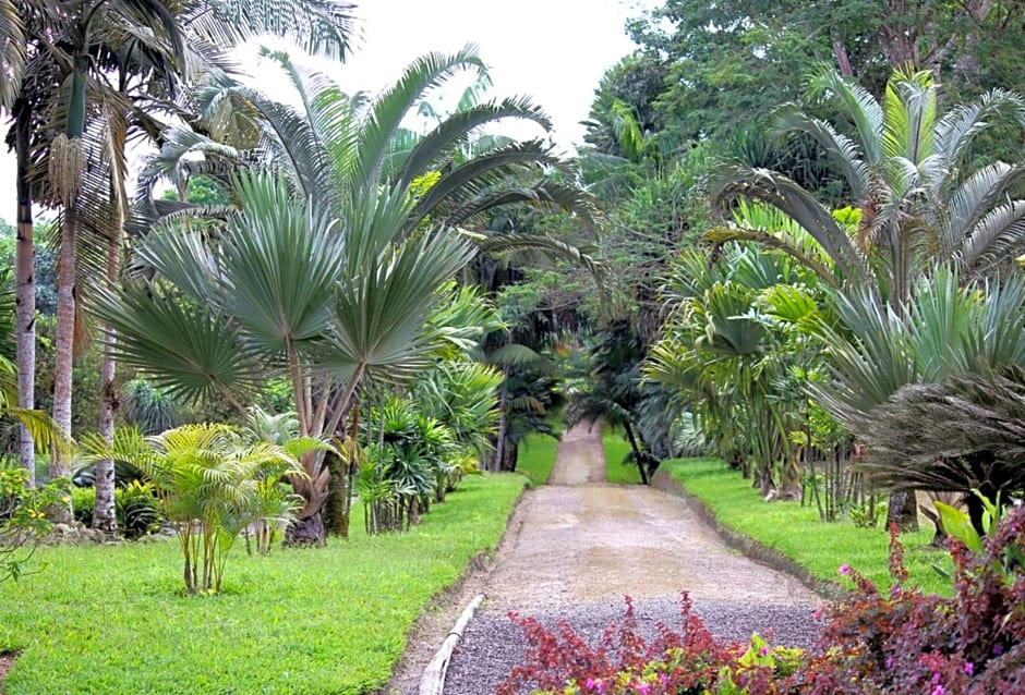 Tropical Island Apartahotel