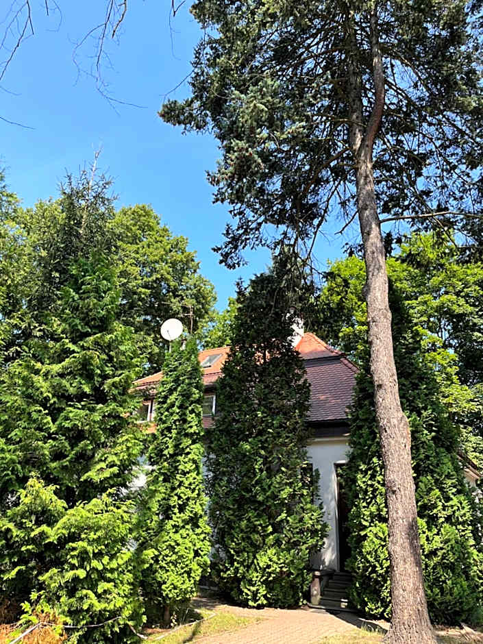 Dedek Park - historyczny dworek w pięknym Parku Skaryszewskim obok Stadionu Narodowego