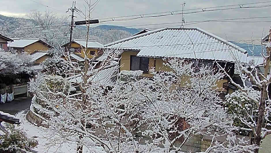 Kinkaku