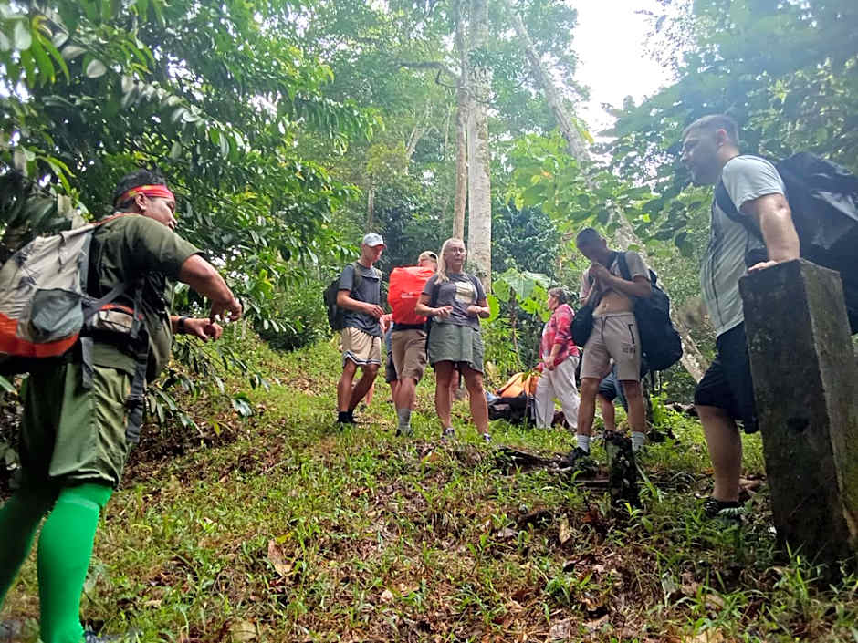 Jungle treking & Jungle Tour if you want to stay here,you must book treking only with us