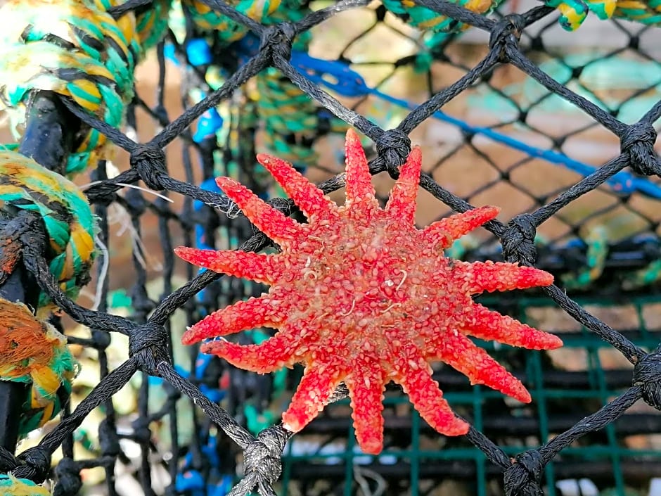 The Fisherman's Snug self catering North Uist