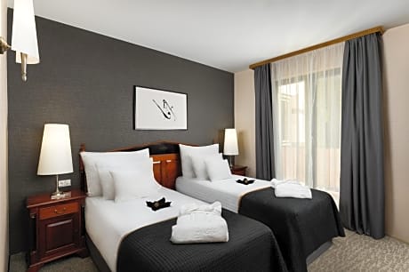 Superior Double or Twin Room with Terrace