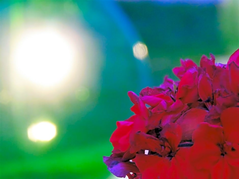 Li Perrini Boutique B&B