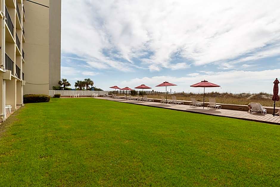 Peppertree by the Sea