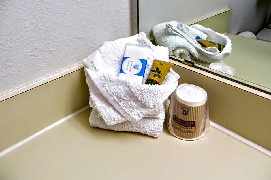 Guest House Inn Medical District near Texas Tech Univ
