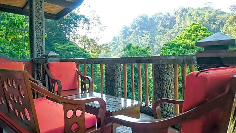 Hotel Orangutan