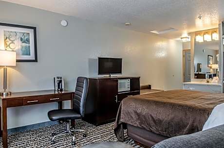 King Room - Non-Smoking/Pet Friendly