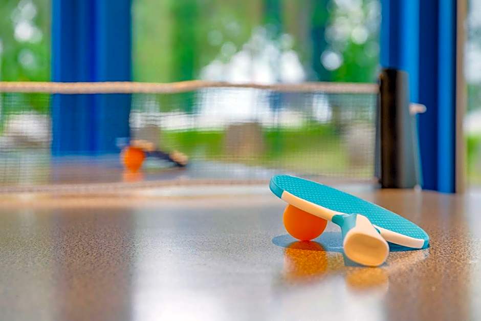 Hotel Ibis Budget Lyon Isle D'Abeau