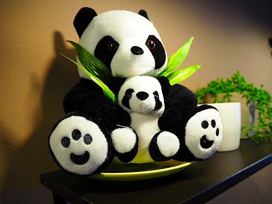 Panda Hotel