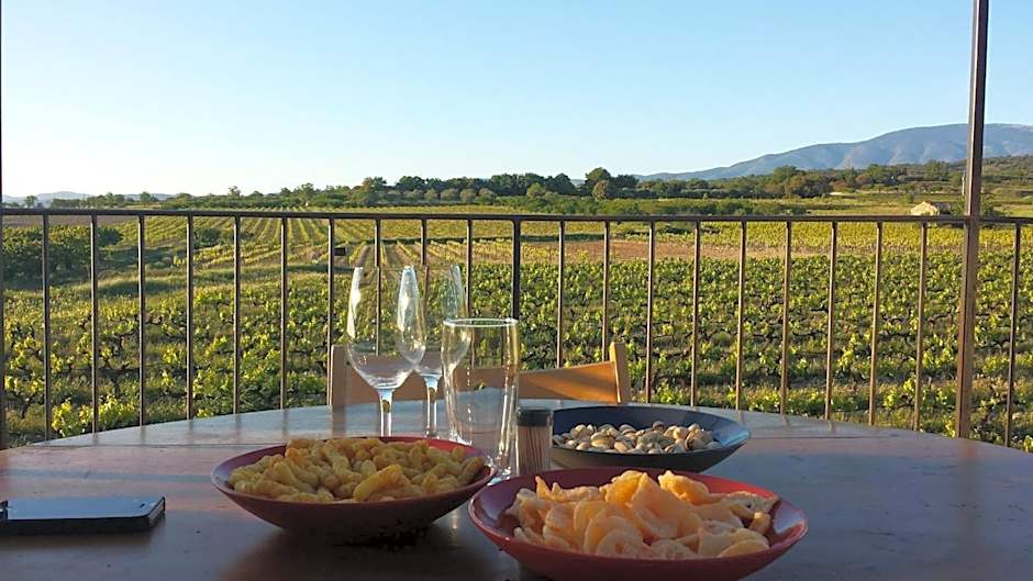 Le Mas de Plein Pagnier