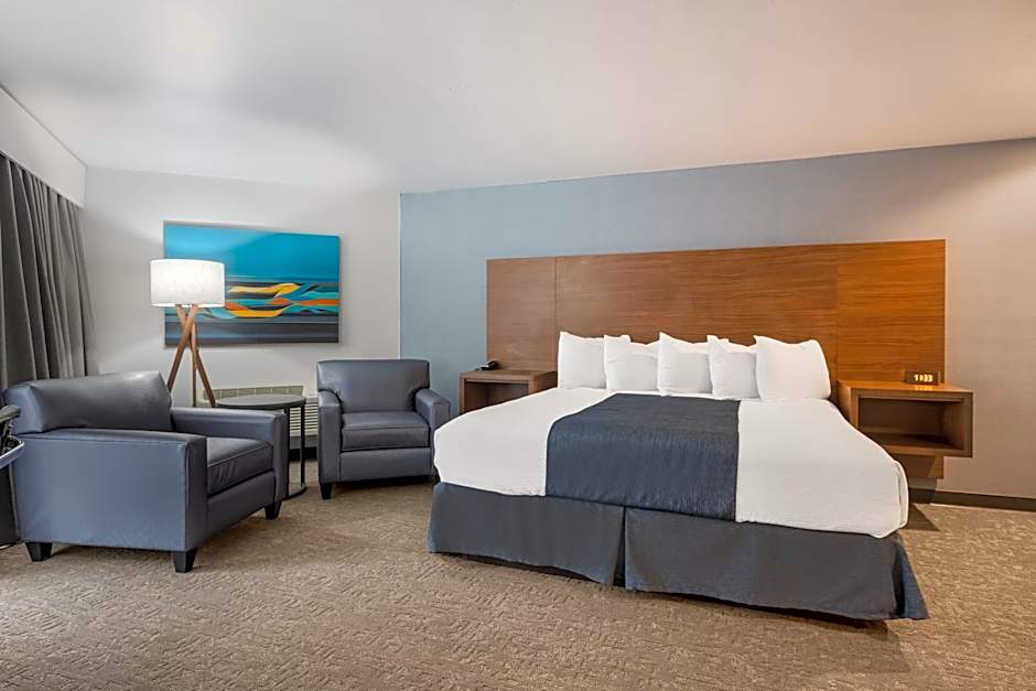 Photo 1 of 4 of Franklin 1 King Bed with Sofabed Suite