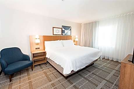 One-Bedroom King Suite with Sofa Bed