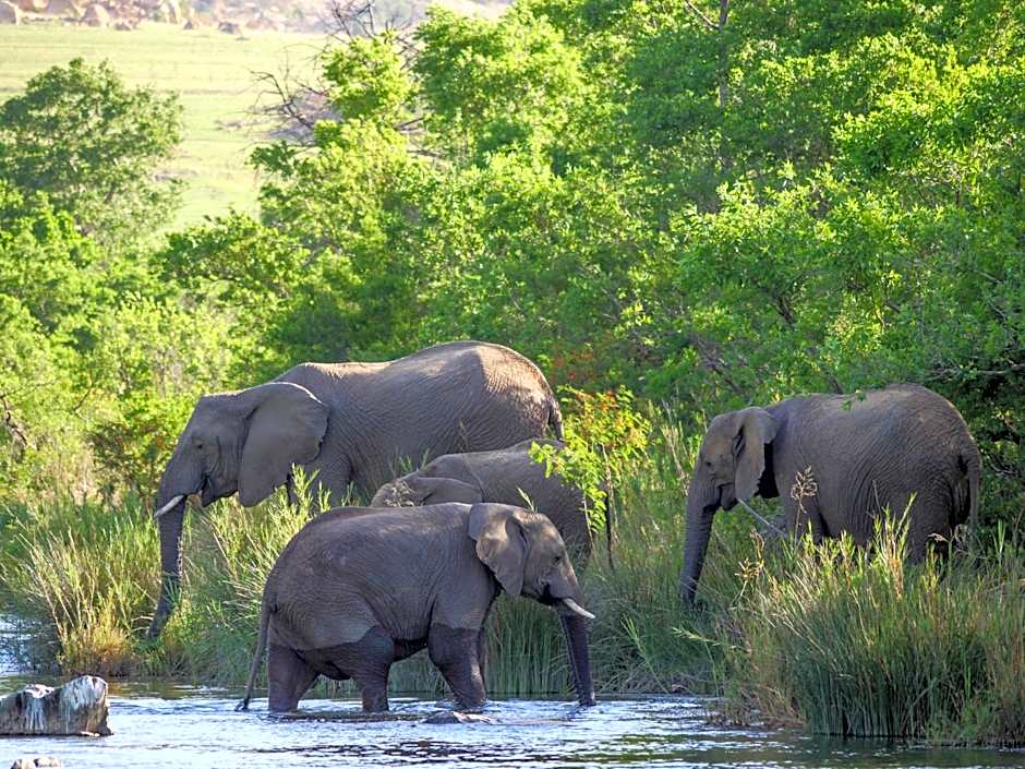 Nkomazi Game Reserve by NEWMARK