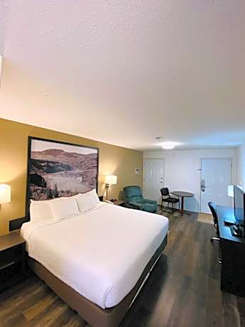 1 King Bed Non-Smoking