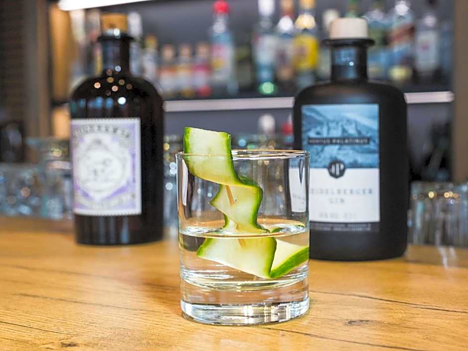 ibis Heidelberg Hauptbahnhof